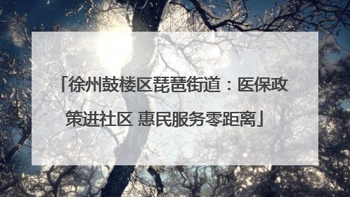 徐州鼓楼区琵琶街道：医保政策进社区 惠民服务零距离