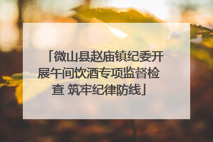 微山县赵庙镇纪委开展午间饮酒专项监督检查 筑牢纪律防线