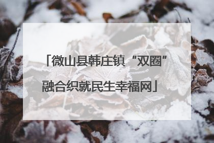 微山县韩庄镇“双圈”融合织就民生幸福网