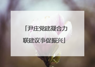 尹庄党建凝合力 联建议事促振兴