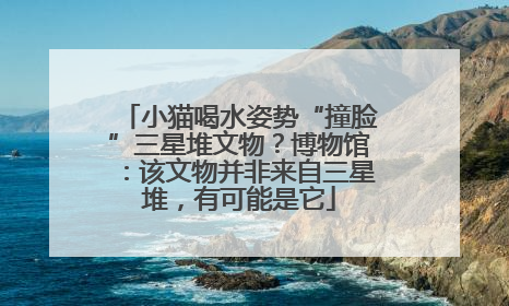 小猫喝水姿势“撞脸”三星堆文物？博物馆：该文物并非来自三星堆，有可能是它
