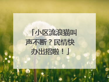小区流浪猫叫声不断？民情快办出招啦！