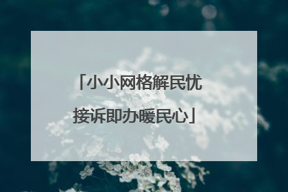 小小网格解民忧 接诉即办暖民心