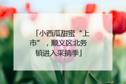 小西瓜甜蜜“上市”，顺义区北务镇进入采摘季