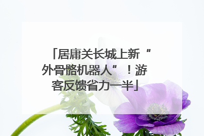 居庸关长城上新“外骨骼机器人”！游客反馈省力一半