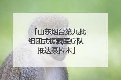 山东烟台第九批组团式援藏医疗队抵达聂拉木