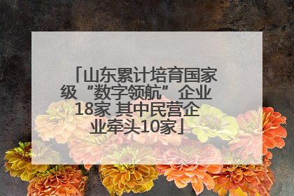 山东累计培育国家级“数字领航”企业18家 其中民营企业牵头10家