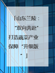 山东兰陵：“双向奔赴”打造蔬菜产业保障“升级版”