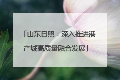 山东日照：深入推进港产城高质量融合发展