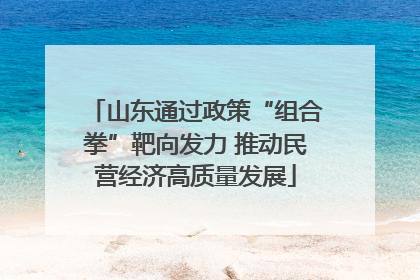 山东通过政策“组合拳”靶向发力 推动民营经济高质量发展