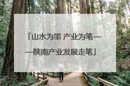 山水为墨 产业为笔——陕南产业发展走笔