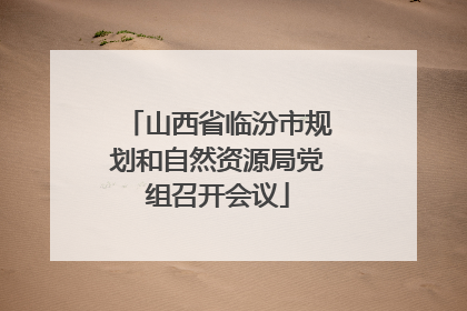 山西省临汾市规划和自然资源局党组召开会议