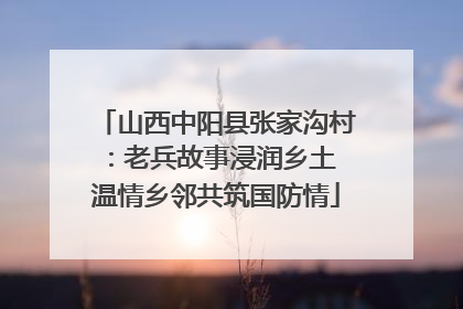 山西中阳县张家沟村：老兵故事浸润乡土 温情乡邻共筑国防情