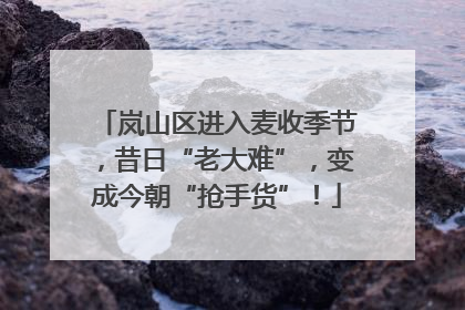 岚山区进入麦收季节，昔日“老大难”，变成今朝“抢手货”！