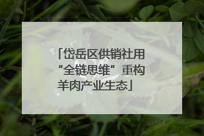 岱岳区供销社用“全链思维”重构羊肉产业生态