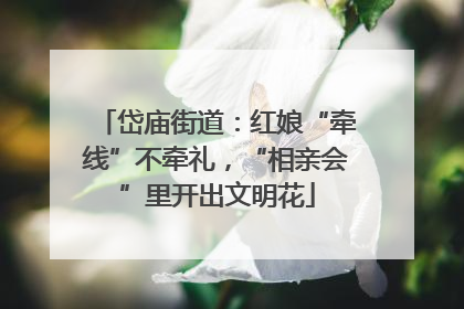 岱庙街道：红娘“牵线”不牵礼，“相亲会”里开出文明花
