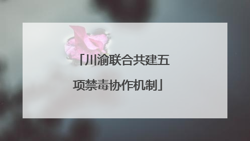 川渝联合共建五项禁毒协作机制