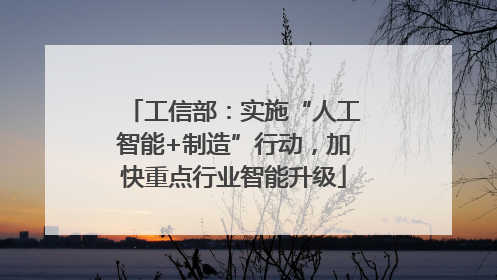 工信部：实施“人工智能+制造”行动，加快重点行业智能升级