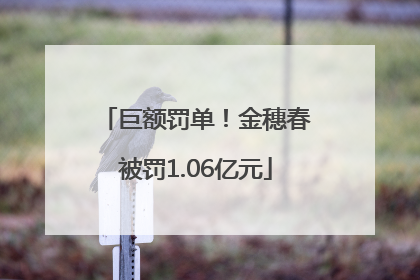 巨额罚单！金穗春被罚1.06亿元