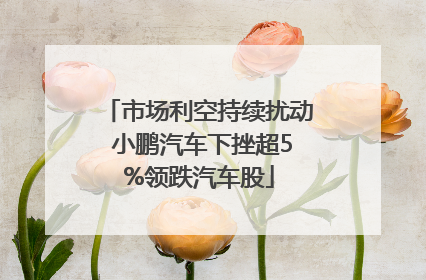 市场利空持续扰动 小鹏汽车下挫超5%领跌汽车股