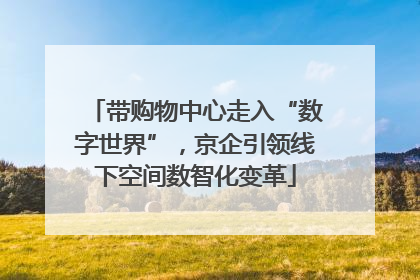 带购物中心走入“数字世界”，京企引领线下空间数智化变革
