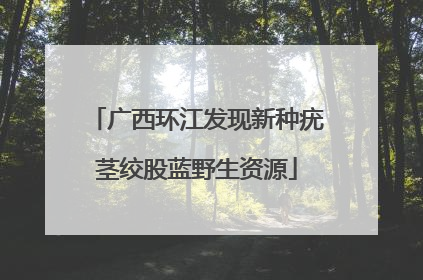 广西环江发现新种疣茎绞股蓝野生资源