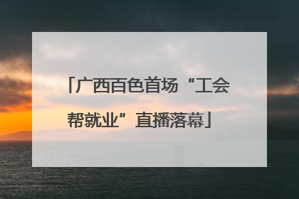 广西百色首场“工会帮就业”直播落幕