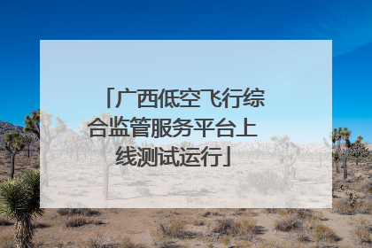 广西低空飞行综合监管服务平台上线测试运行