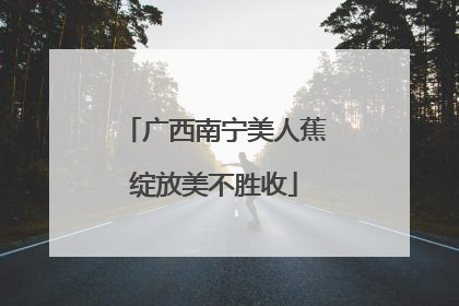 广西南宁美人蕉绽放美不胜收