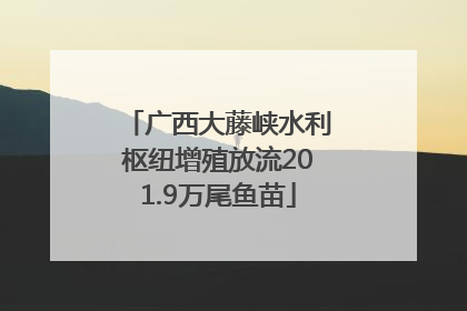 广西大藤峡水利枢纽增殖放流201.9万尾鱼苗