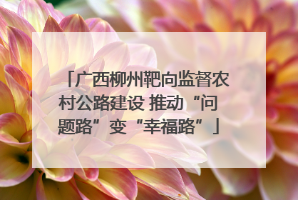 广西柳州靶向监督农村公路建设 推动“问题路”变“幸福路”