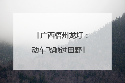 广西梧州龙圩：动车飞驰过田野