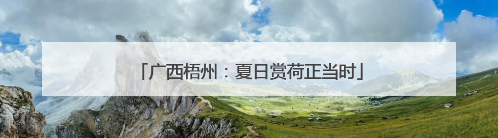 广西梧州：夏日赏荷正当时