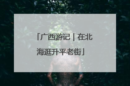 广西游记｜在北海逛升平老街
