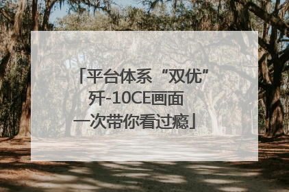 平台体系“双优” 歼-10CE画面一次带你看过瘾