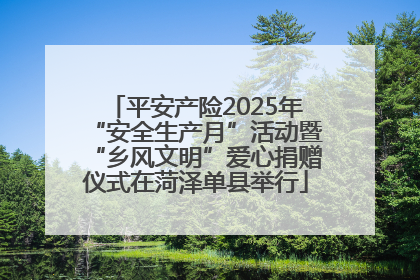 平安产险2025年“安全生产月”活动暨“乡风文明”爱心捐赠仪式在菏泽单县举行