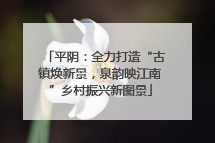 平阴：全力打造“古镇焕新景，泉韵映江南”乡村振兴新图景