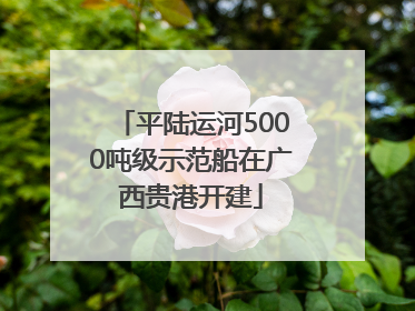 平陆运河5000吨级示范船在广西贵港开建