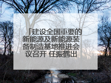 建设全国重要的新能源及新能源装备制造基地推进会议召开 任振鹤出席并讲话