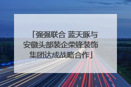 强强联合 蓝天豚与安徽头部装企荣锋装饰集团达成战略合作