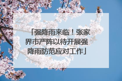 强降雨来临！张家界市严阵以待开展强降雨防范应对工作