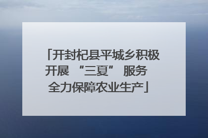 开封杞县平城乡积极开展 “三夏” 服务 全力保障农业生产