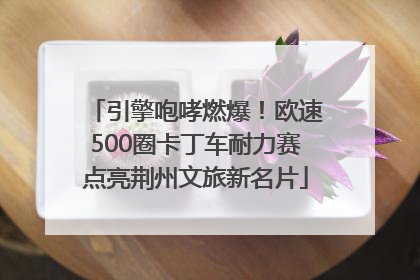 引擎咆哮燃爆！欧速500圈卡丁车耐力赛点亮荆州文旅新名片