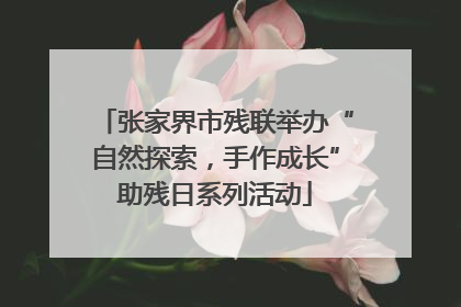 张家界市残联举办“自然探索，手作成长”助残日系列活动