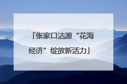 张家口沽源“花海经济”绽放新活力