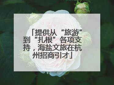 提供从“旅游”到“扎根”各项支持，海盐文旅在杭州招商引才