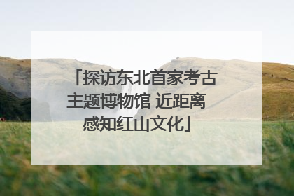 探访东北首家考古主题博物馆 近距离感知红山文化