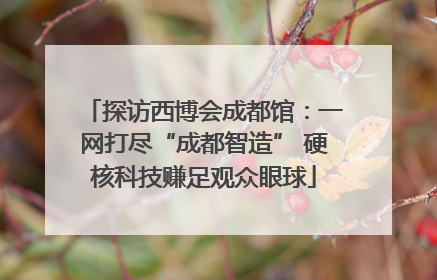 探访西博会成都馆：一网打尽“成都智造” 硬核科技赚足观众眼球
