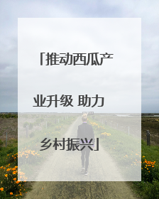 推动西瓜产业升级 助力乡村振兴