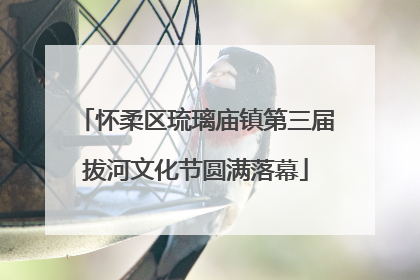 怀柔区琉璃庙镇第三届拔河文化节圆满落幕
